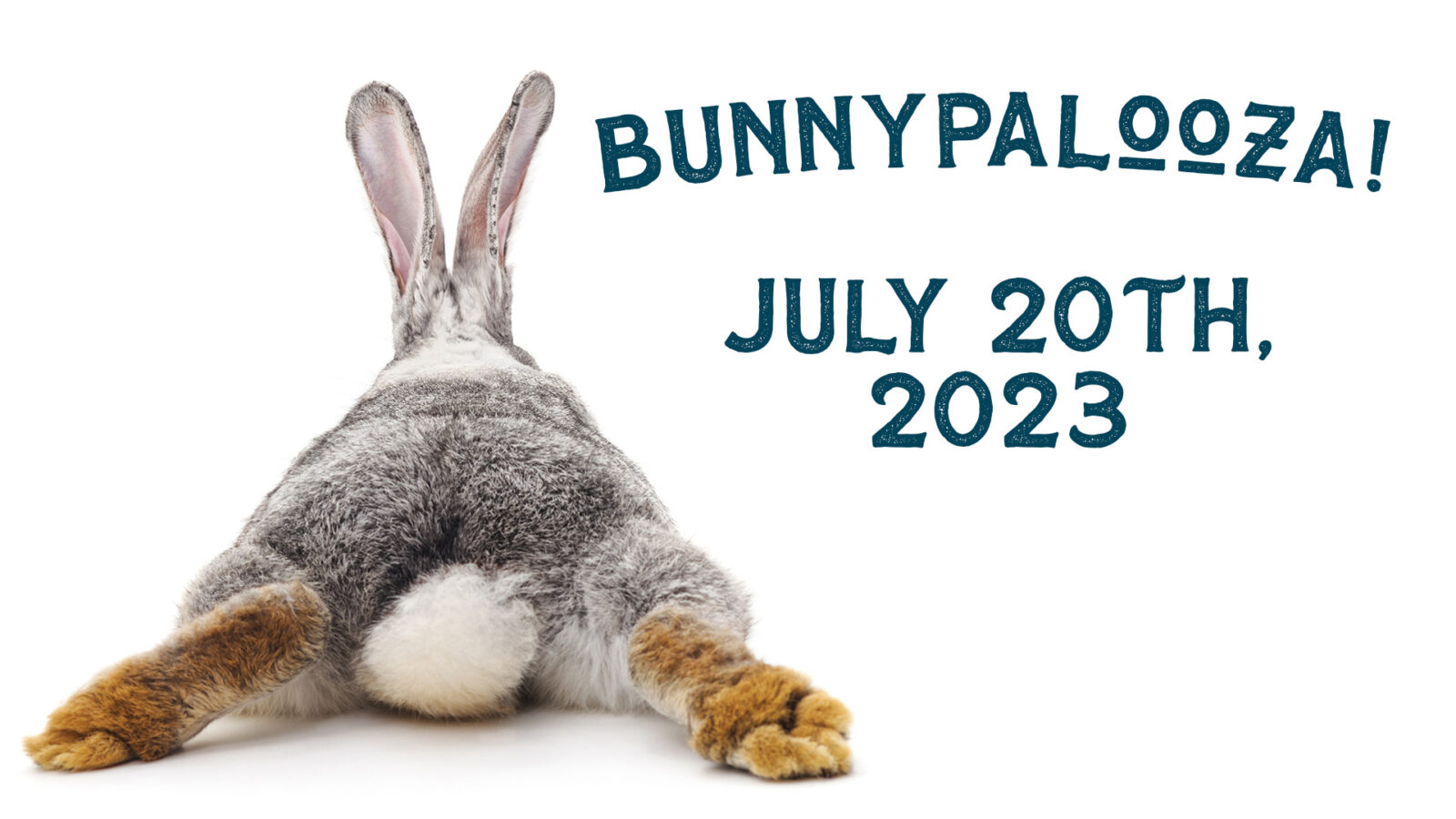 Multiple adoption events at the ARL