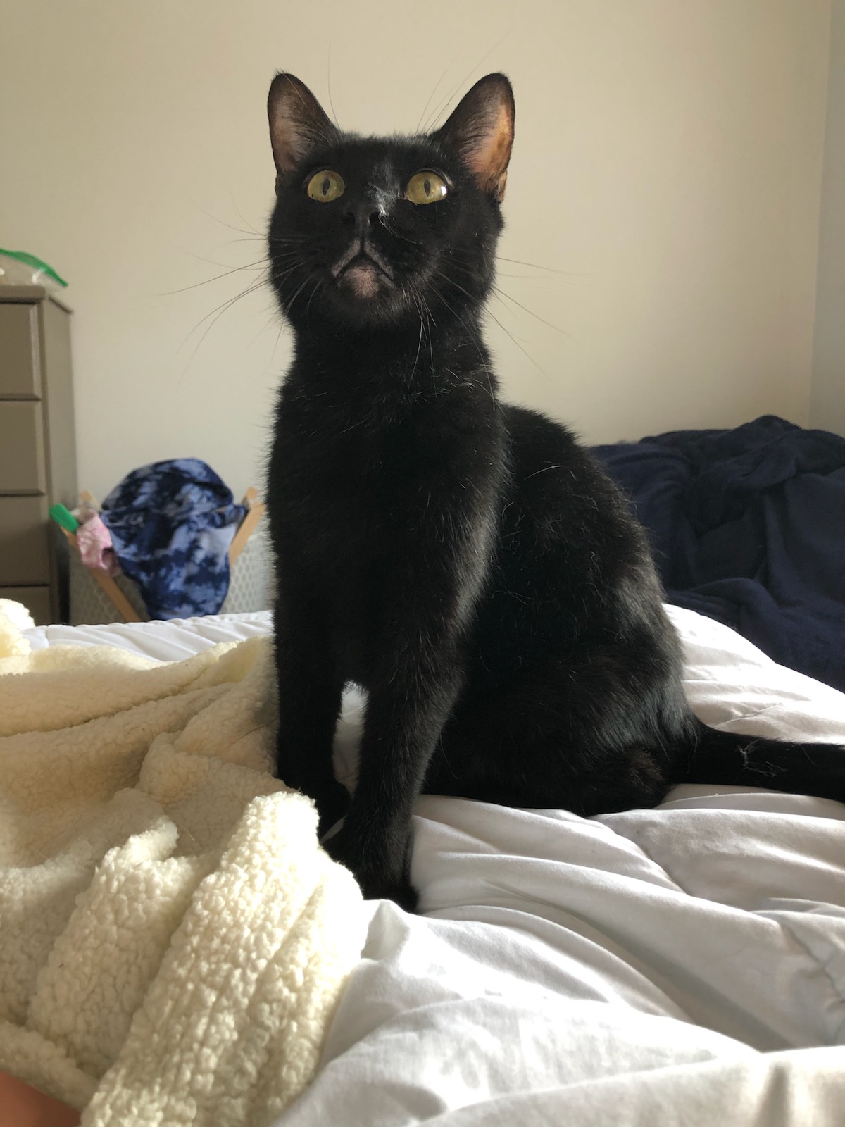 Get to know the lives we saved: Meet Agent 007