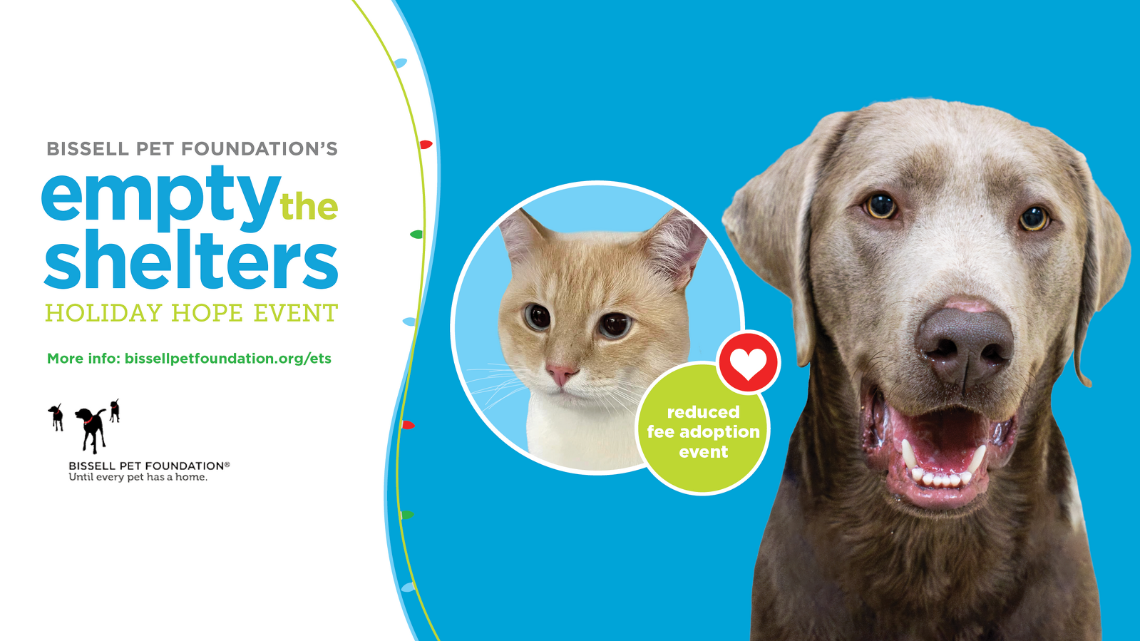 BISSELL Pet Foundation Partners With the Animal Rescue League to Brings Holiday Hope to Shelter Pets 