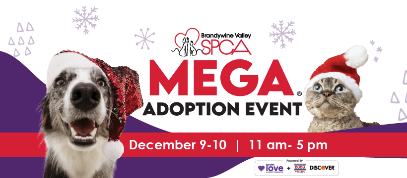 ARL to Participate in Brandywine Valley SPCA’s Mega Adoption Event to Find Hundreds of Dogs & Cats Homes for the Holidays 
