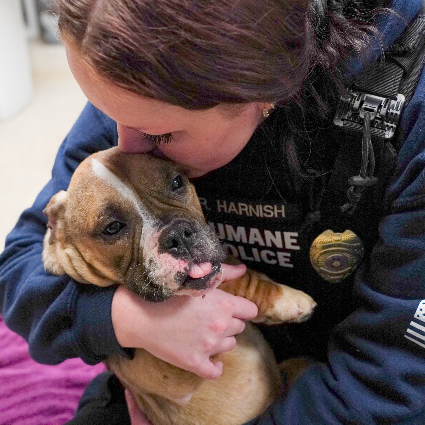 The Lives We Save: Boo
