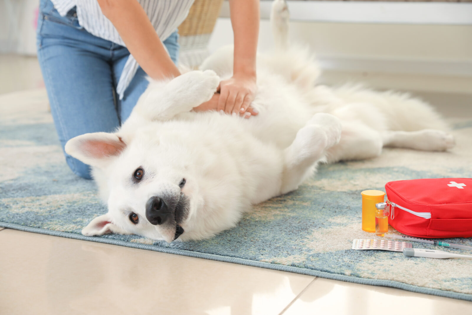 Pet Choking Prevention Day