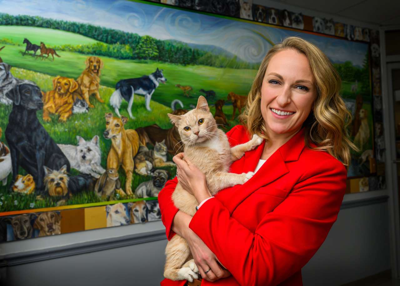 Leadership Corner – A Veterinary Crisis Looms Heavy Throughout Animal Shelters Far and Wide