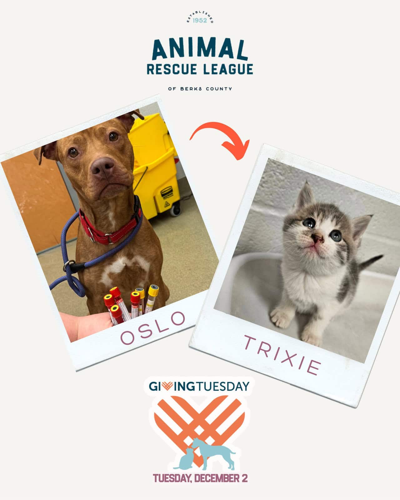 Oslo and Trixie