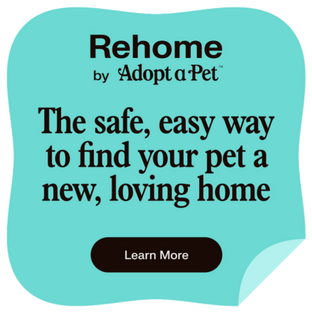 RehomebyAdoptaPet-safe